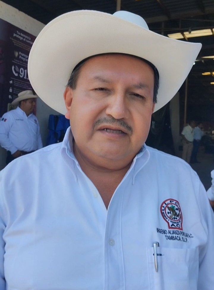 togelio torres